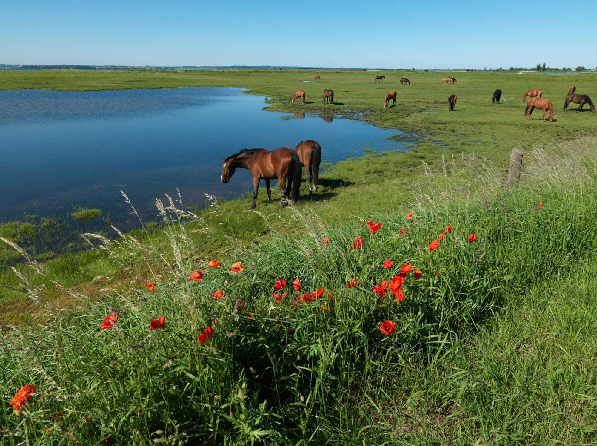 Inselhaeuser Kaltenhof Inselhaus Poel 1 외부 사진